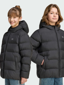 Куртки и дубленки Adidas модель KS1722 Фото
