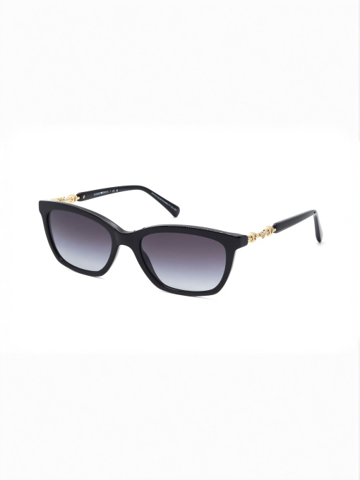 Очки Emporio Armani модель E0000495100 Фото