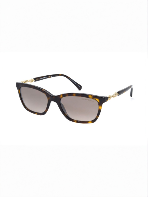 Очки Emporio Armani модель E0000495101 Фото