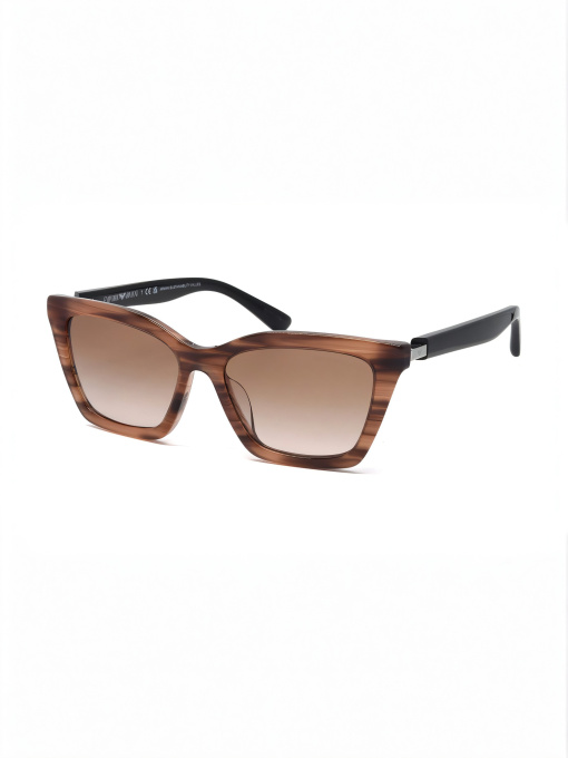 Очки Emporio Armani модель E0000518963 Фото