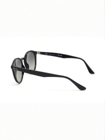 Очки Ray-Ban модель E0000425676 Фото