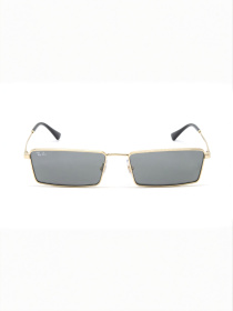 Очки Ray-Ban модель E0000443485 Фото