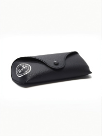 Очки Ray-Ban модель E0000444421 Фото