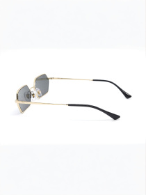 Очки Ray-Ban модель E0000443493 Фото