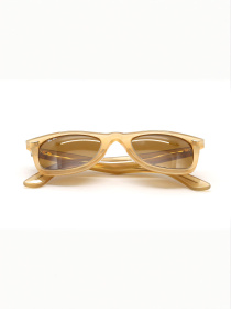 Очки Ray-Ban модель E0000450276 Фото