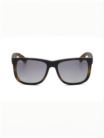 Окуляри Ray-Ban модель E0000446401 Фото