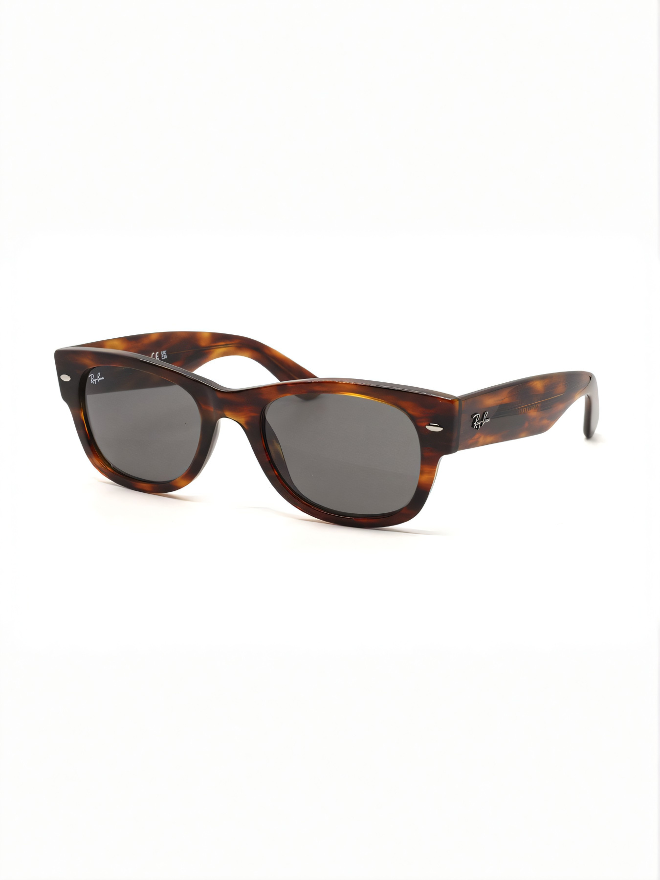 Окуляри Ray-Ban модель E0000586355 Фото