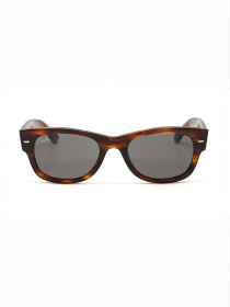 Окуляри Ray-Ban модель E0000586355 Фото