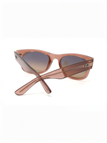 Очки Ray-Ban модель E0000586351 Фото
