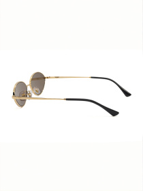 Очки Ray-Ban модель E0000586233 Фото