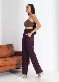 Брюки Брюки женские классические в клетку с поясом и высокой талией модель P2007 Брюки Брюки женские классические в клетку с поясом и высокой талией модель P2007 Фото