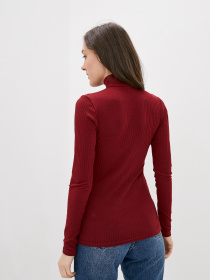 Водолазка ISSA Plus модель 10395_burgundy Водолазка ISSA Plus модель 10395_burgundy Фото