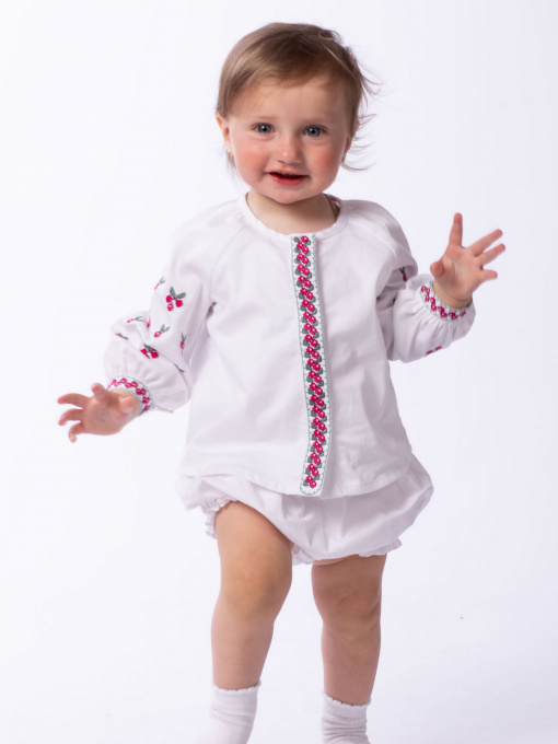 Вишита сорочка Едельвіка Модель 116-21-00 Фото