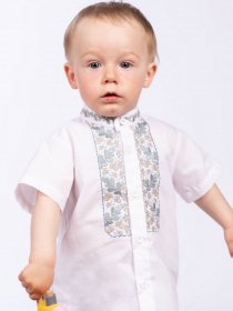 Вышитая рубашка Едельвіка модель 98-21-00 Фото