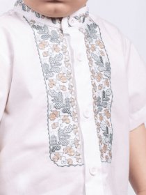 Вишита сорочка Едельвіка модель 98-21-00 Фото