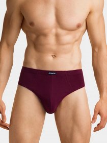 Набор трусов Atlantic модель 3MP-3MP-110_GRA_CZE_NIE Фото