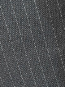 Шорты Arber модель W29.01.12.221 Фото