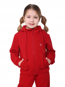 Спортивний костюм Timbo модель K076409 Фото