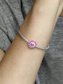 Класичні PANDORA Moments модель 790777C01 Класичні PANDORA Moments модель 790777C01 Фото