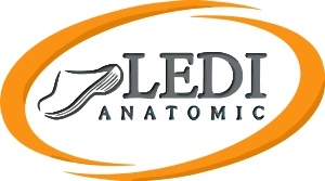 LEDI Anatomic